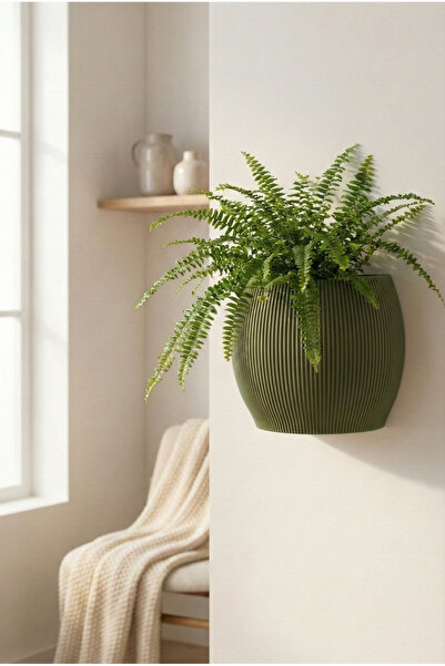 Puffin Design Nest Duvar Saksısı