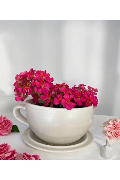 Genel Markalar El Yapımı Beton Büyük Fincan Saksı, Şık ve Modern Dekoratif Bi...