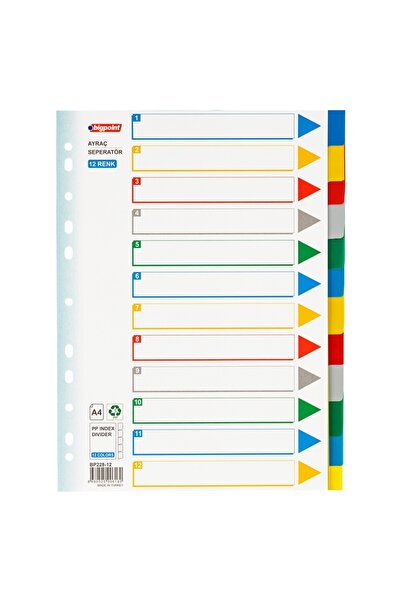Bigpoint Separator PP 12 culori x 25 bucăți