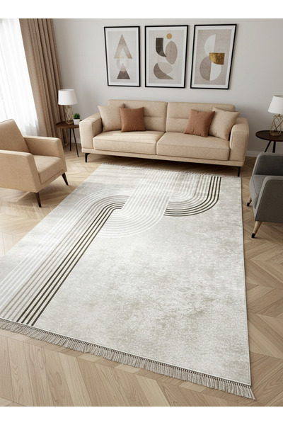 ALLGELSİN Yıkanabilir Kaymaz Taban Salon ve Oturma odası Halısı 4m² Dört ve 6...