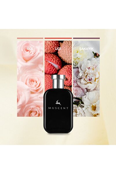 MUSCENT F053 CSignature 50 ml.