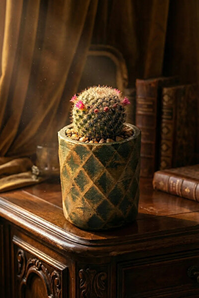 N NOXXO Yeşil Eskitme Desenli Beton Sukulent ve Kaktüs Saksısı - Dekoratif Mi...