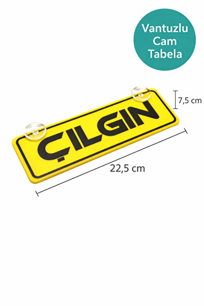 wonderlike Çılgın Yazılı Sarı Dekor Plaka Vantuzlu Cam Süsü