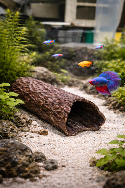 Mayah Concept PLA Akvaryum Dekoru Kaya Mağara – Balık Saklanma Alanı