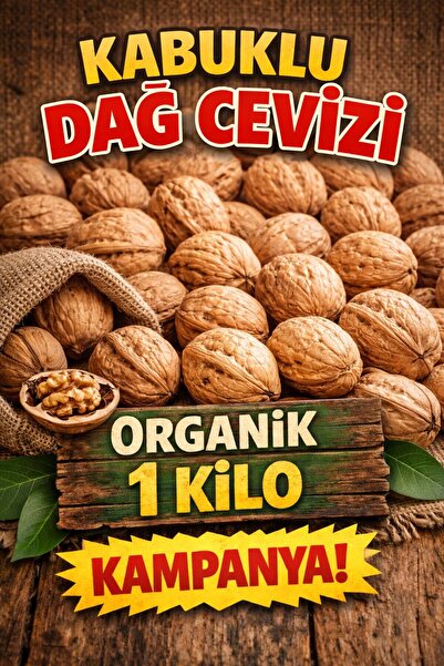 zernut Kabuklu Ceviz Organik Dağ Cevizi