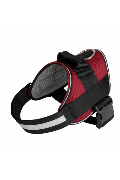 FOXMAG24 Ρυθμιζόμενη ζώνη σκύλων Nunbell, από ανθεκτικό Πολυεστέρας και κράμα...