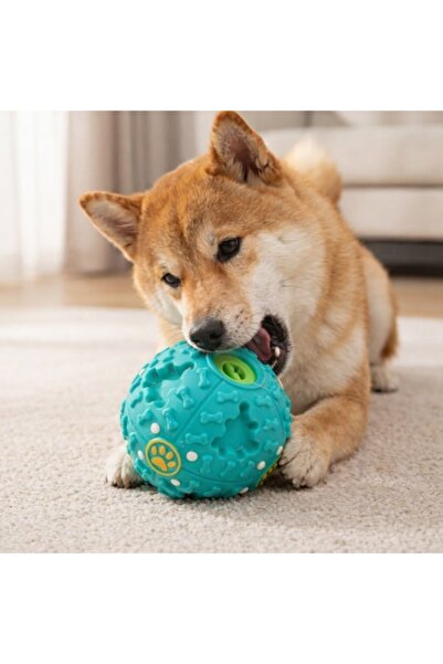 FOXMAG24 Minge pentru câini Nunbell cu distribuitor de recompense, 9,5 cm, ca...