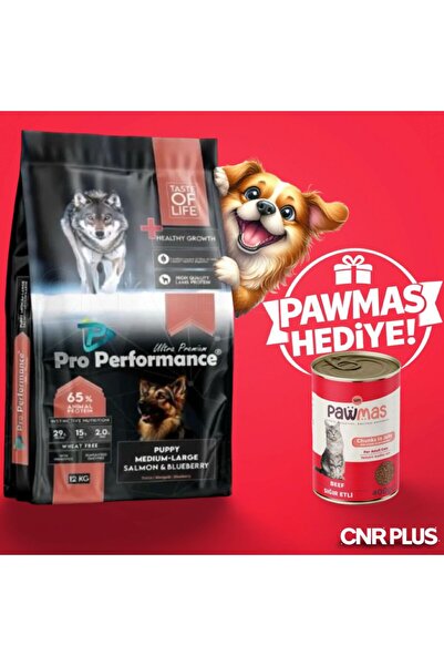 PERFORMANCE Pro Performance Ultra Premium Orta ve Büyük Irklar İçin Somonlu v...