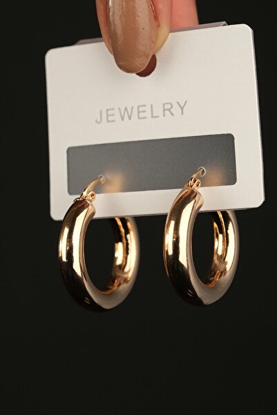 Richard Jewell Çelik Renk Atmaz Garantli Faturalı Küpe