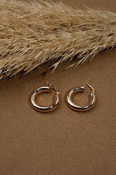 Richard Jewell Steel Invoiced Earrings, Guaranteed to Not Fade Color