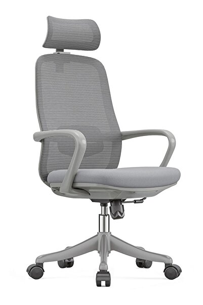 Ofisbazaar Rose Manager Ergonomik Fileli Yönetici Koltuğu | Ergonomik Başlıkl...