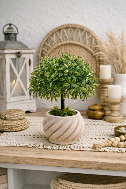 Lineva Kıvrımlı Beton Saksıda Yapay Fesleğen Çiçeği – Dekoratif Ev & Ofis Mas...