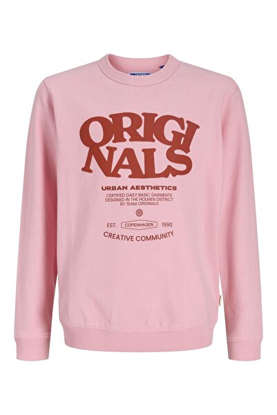 Jack & Jones Sweatshirt Sweatshirt Mini