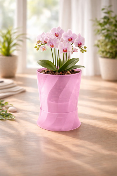 Melkan Home Orkide Saksı, Şeffaf Pembe Orkide Saksısı 1,3 Litre Kristal Orkid...