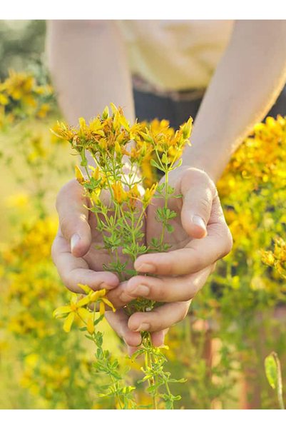 Brax St. John's Wort Dried Natural 100Gr