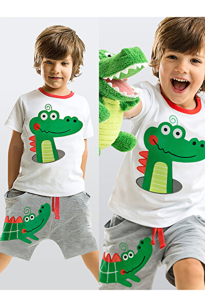 Denokids Crocodile Baggy Boys Summer T-Shirt Shorts Set
