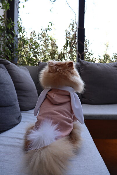 mardog Tavşan Kulaklı ve Ponponlu Pamuklu Kedi Köpek Sweatshirt - Somon Rengi