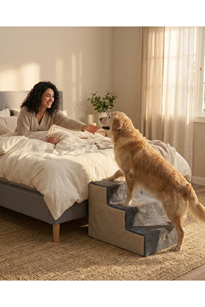 Holidog Büyük Boy Kedi Ve Köpek Merdiveni Ortopedik Basamaklı Fermuarlı Sert ...