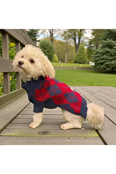 MİNİŞ PET BUTİK Miniş Red Diamond Small Dog Sweater