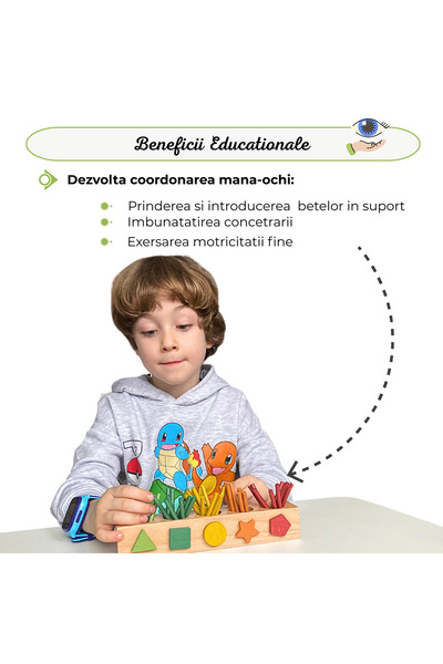 Arelair Magic Box Jucarie Matematica Montessori, Arelair Magic Box, Set bete colorate de numarare si sortare, din lemn