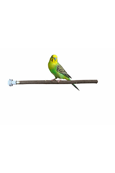 Heraklia Hobi عمود طائر خشبي طبيعي 30 سم 2 قطعة