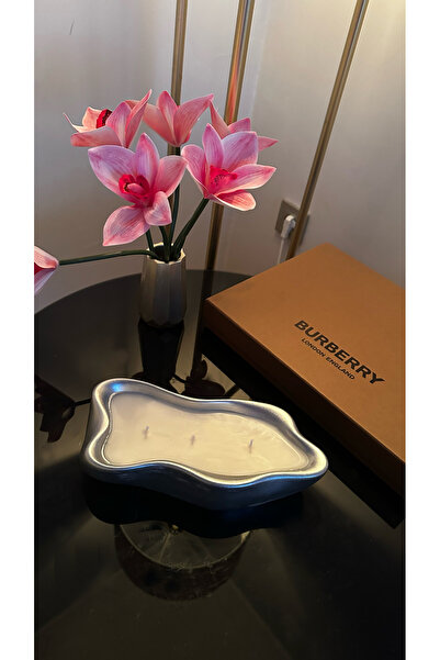 BalibeeCandle Luxry metalik gümüş kasede dekoratif mum 23x11x5
