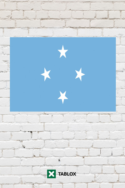 TABLOX Drapelul țării Micronezia Drapel Tablou decorativ Tablou din lemn MDF ...