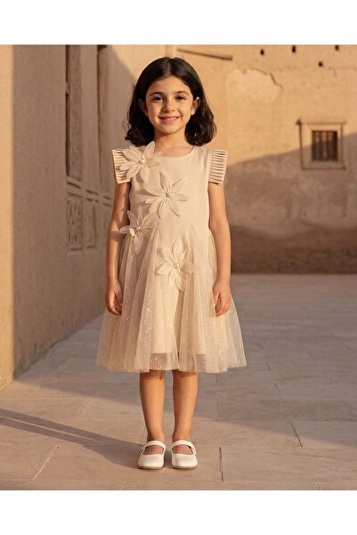 REDTAG Girls Gold 3D Floral Mesh Dress