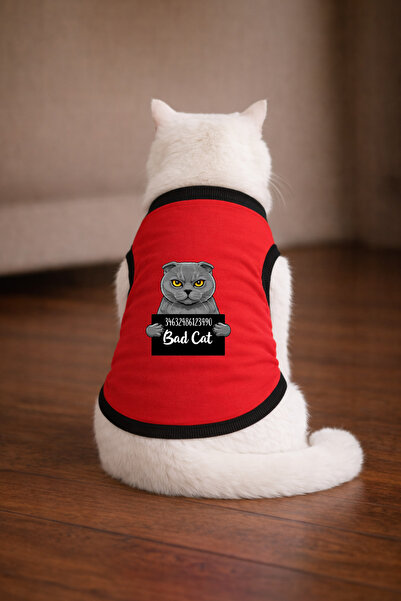 petite pati تيشيرت Red Wanted Scottish مطبوع عليه صورة قطة مقاس XS (100% قطن ...