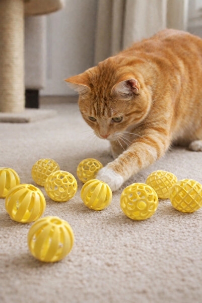 KEDİ مجموعة من 10 كرات للعب المتحركة والصوتية