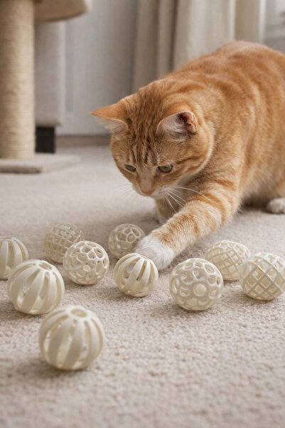 KEDİ مجموعة من 10 كرات للعب المتحركة والصوتية