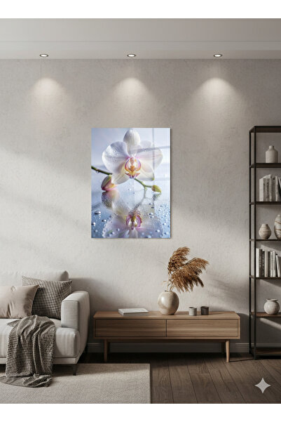 BLT DİZAYN Simbolul eleganței: Orhideea albă pură