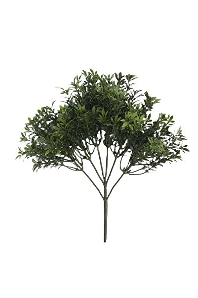 Roots Furniture شجيرة أوراق الشاي