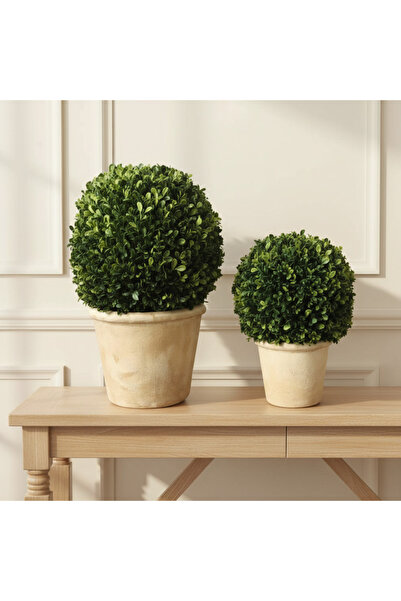 Crestview Collection Boxwood Topiary S/2