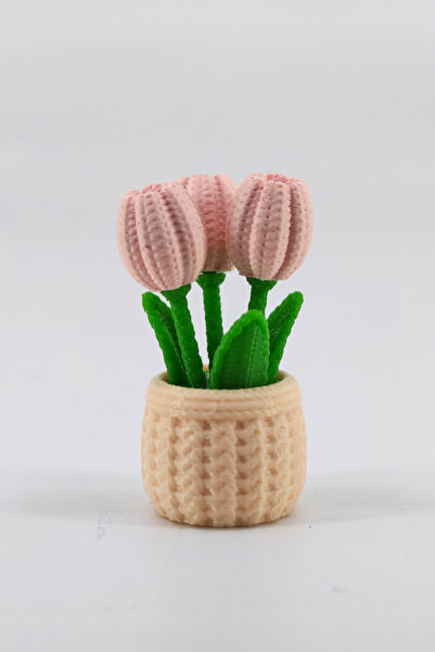 Hunga Yün Görünümlü Saksılı Lale | Mini Dekor