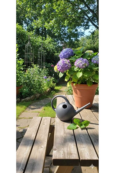 polivahome Decorative Watering Can Watering Pot 2.3 Liter Anthracite