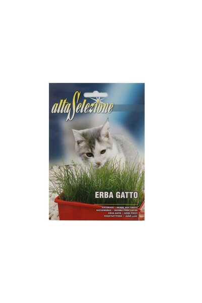 Alta Catnip Seeds