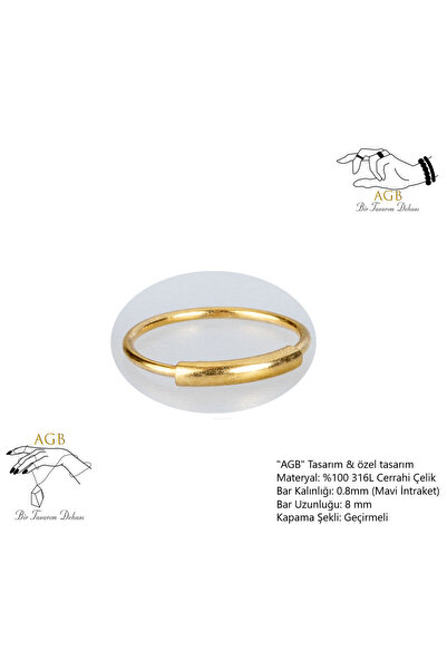 AGB Burun, Kulak, Kaş Nostril, Septum, Helix, Dalth Geçirmeli Halka Hızma Pie...