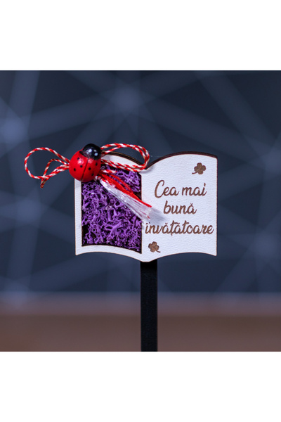 Creators of Crafts Martisor Magnet Cu Licheni Pentru Invatatoare-Model Carte