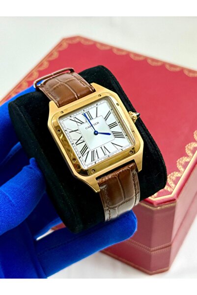 Watch A men's watch with a sophisticated design that combines elegance and pr...