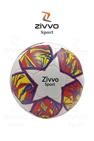 Zivvo كرة قدم دوري الأبطال، تشمل مضخة هواء، كرة قدم للملاعب الصلبة والمدارس ر...