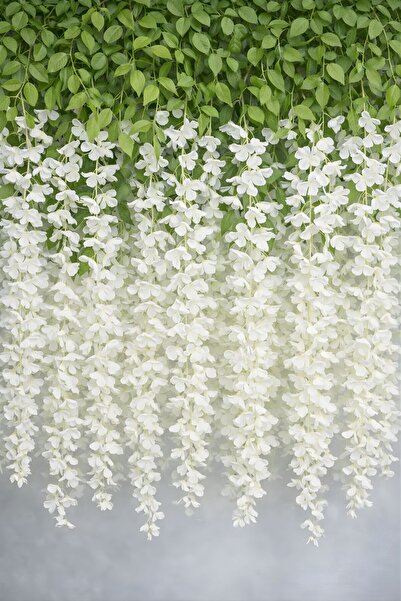 BUSERİSE 12’li Beyaz Sarkan Akasya Çiçeği – Nişan Düğün Organizasyon Dekoru, ...