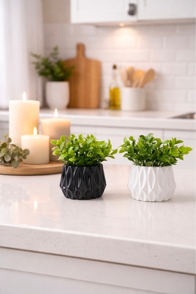 Çiçek 2 li modern saksı ve yeşil bitki şöleni