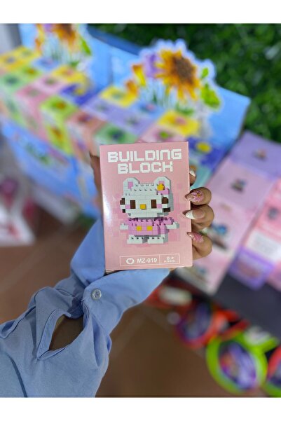 Mevsimsiz Çiçek Hello Kitty Figür lego 150+ parça çift hobi zeka