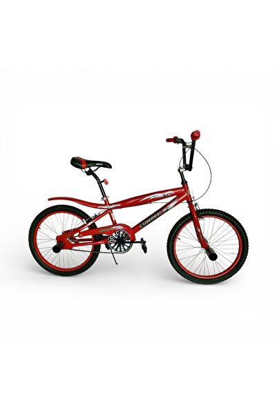 COMPLEX A 20-inch children's sports bicycle with a distinctive professional d...