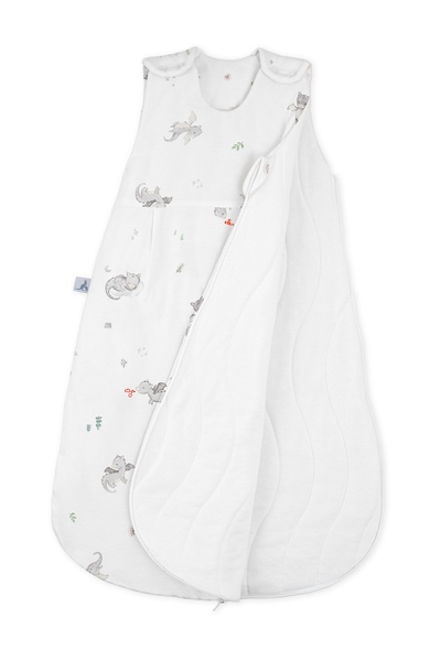 ROOSAC Newborn Modal Cotton Winter Sleeping Bag 2.5 Tog L Dragons Sleeveless 0-6 Months