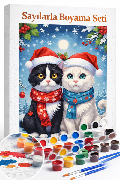 Aren Design Sayılarla Boyama Çerçeveli Hobi Seti Numaralı Tuval Fırça Boya Da...