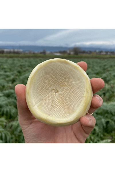 AYENÜRSA 15 li Mini Çanak Enginar