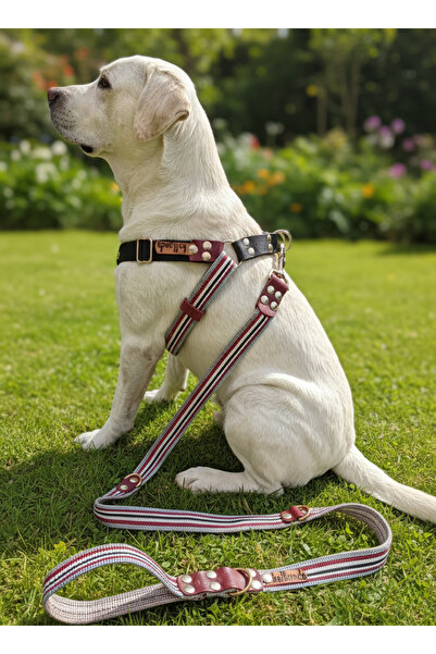 balkonda Dog Chest Harness Adjustable and Leash Set of 2 Medium & Large Breeds