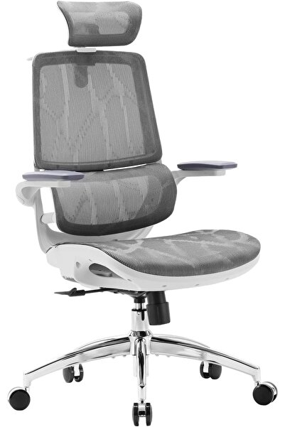 ALTIS by SIHOO M59AS-M301 Ergonomic Office Chair With Upgrade Large Cushions,...